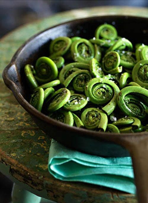 image of fiddlehead